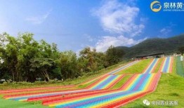 恩平爆料热线最新信息,揭秘背后惊人真相！