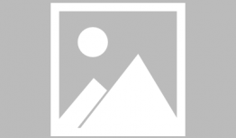 海鸥官方爆料视频大全最新,揭秘最新科技与时尚潮流