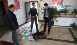 武汉法院爆料案件最新,惊天大案背后真相揭露