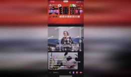 刘大锤最新爆料视频网址,揭秘事件背后惊人真相！