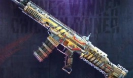 pubgm最新爆料a5,A5版本革新升级，全新玩法等你来战！